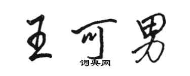 駱恆光王可男行書個性簽名怎么寫