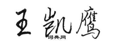 駱恆光王凱鷹行書個性簽名怎么寫