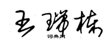 朱錫榮王瑞棟草書個性簽名怎么寫