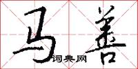 馬善怎么寫好看