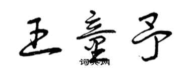 曾慶福王童予草書個性簽名怎么寫