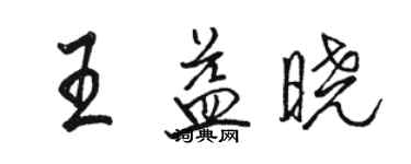 駱恆光王益曉行書個性簽名怎么寫