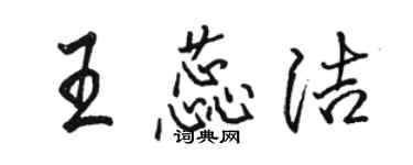 駱恆光王蕊潔行書個性簽名怎么寫