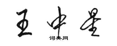 駱恆光王中星行書個性簽名怎么寫