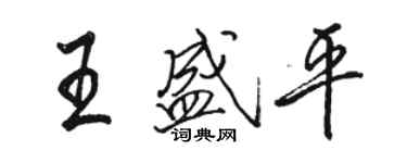 駱恆光王盛平行書個性簽名怎么寫