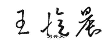 駱恆光王憶晨草書個性簽名怎么寫