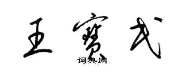 梁錦英王寶民草書個性簽名怎么寫