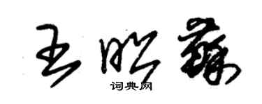 朱錫榮王昭蘇草書個性簽名怎么寫