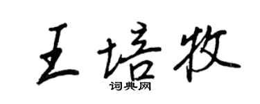 王正良王培牧行書個性簽名怎么寫
