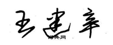 朱錫榮王建辛草書個性簽名怎么寫