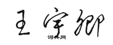 駱恆光王宇卿草書個性簽名怎么寫