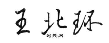 駱恆光王北環行書個性簽名怎么寫