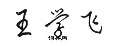 駱恆光王學飛行書個性簽名怎么寫