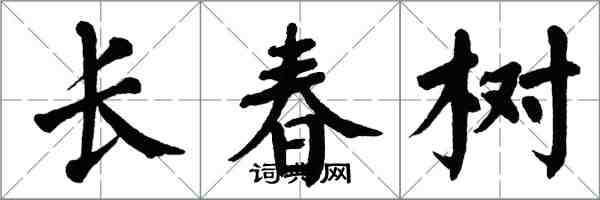 翁闓運長春樹楷書怎么寫