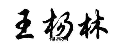 胡問遂王楊林行書個性簽名怎么寫