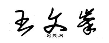 朱錫榮王文峰草書個性簽名怎么寫