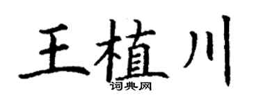 丁謙王植川楷書個性簽名怎么寫