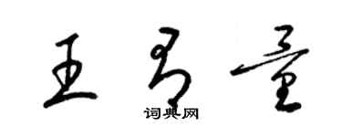梁錦英王有量草書個性簽名怎么寫