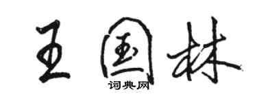 駱恆光王國林行書個性簽名怎么寫