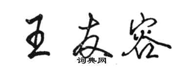 駱恆光王友容行書個性簽名怎么寫