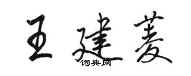 駱恆光王建菱行書個性簽名怎么寫