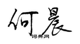 曾慶福何晨行書個性簽名怎么寫