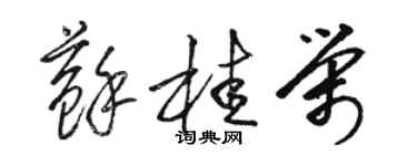 駱恆光蘇桂榮草書個性簽名怎么寫