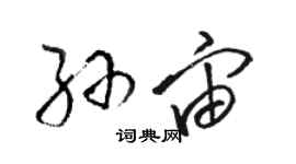 駱恆光孫宙草書個性簽名怎么寫