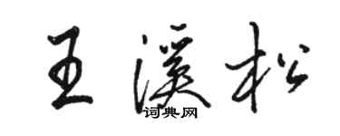 駱恆光王溪松行書個性簽名怎么寫