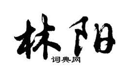胡問遂林陽行書個性簽名怎么寫