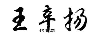 胡問遂王辛揚行書個性簽名怎么寫