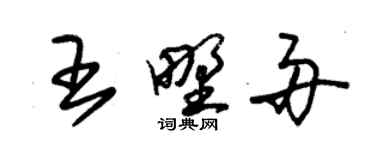 朱錫榮王野舟草書個性簽名怎么寫