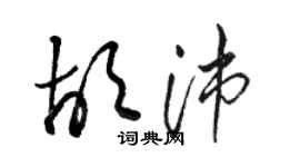 駱恆光胡沛草書個性簽名怎么寫