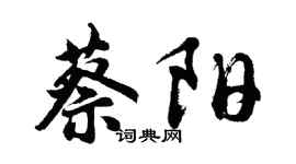 胡問遂蔡陽行書個性簽名怎么寫