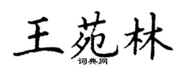 丁謙王苑林楷書個性簽名怎么寫