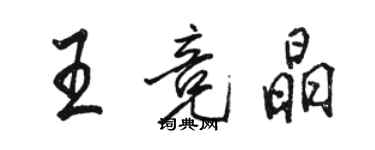 駱恆光王競晶行書個性簽名怎么寫