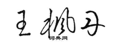 駱恆光王楓丹草書個性簽名怎么寫
