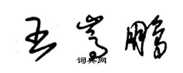 朱錫榮王嵩鵬草書個性簽名怎么寫