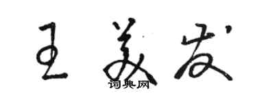 駱恆光王美發草書個性簽名怎么寫