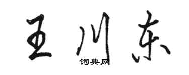 駱恆光王川東行書個性簽名怎么寫