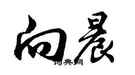 胡問遂向晨行書個性簽名怎么寫