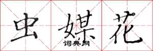 黃華生蟲媒花楷書怎么寫