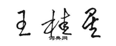 駱恆光王桂星草書個性簽名怎么寫