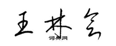 梁錦英王林會草書個性簽名怎么寫