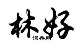 胡問遂林好行書個性簽名怎么寫
