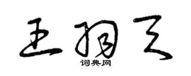 曾慶福王羽天草書個性簽名怎么寫