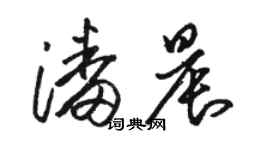 駱恆光潘晨草書個性簽名怎么寫