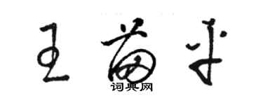 駱恆光王苗平草書個性簽名怎么寫