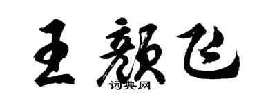 胡問遂王顏飛行書個性簽名怎么寫