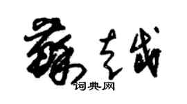 朱錫榮蘇越草書個性簽名怎么寫